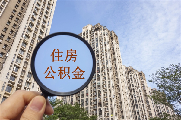 乐平住房公积金查询个人账户（住房公积金个人查询入口）